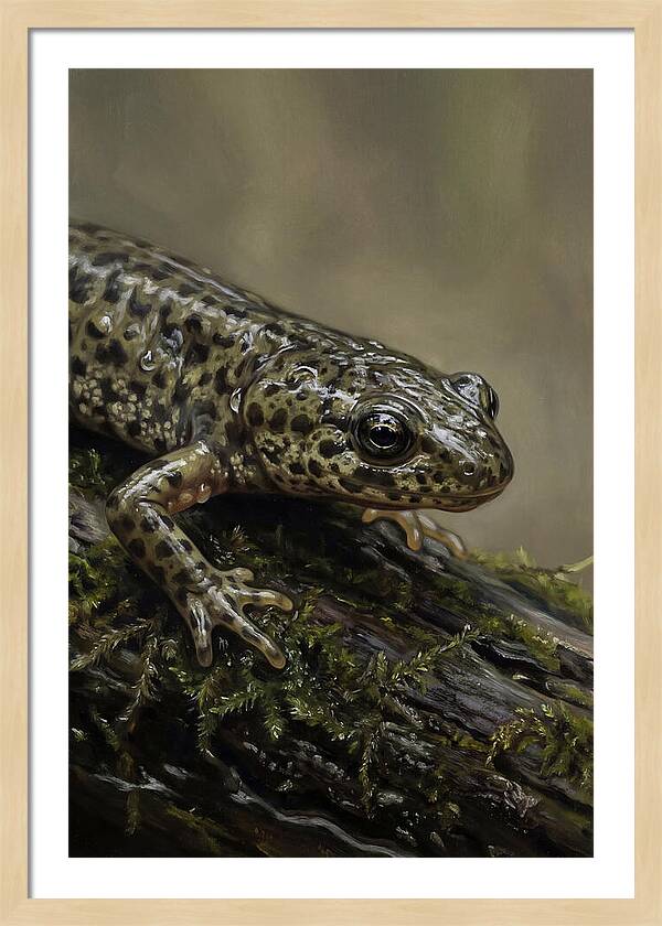 Newt Among Mossy Logs