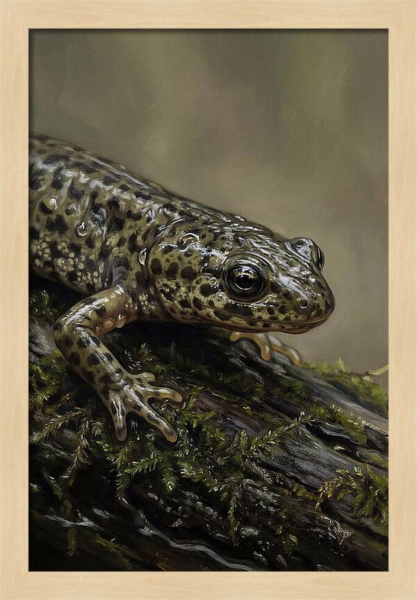 Newt Among Mossy Logs