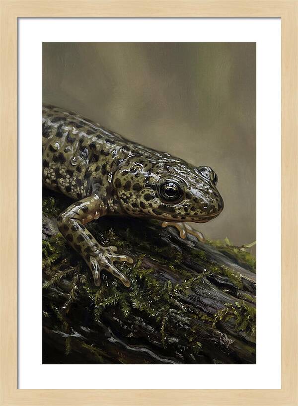 Newt Among Mossy Logs