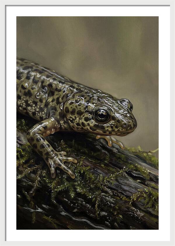 Newt Among Mossy Logs
