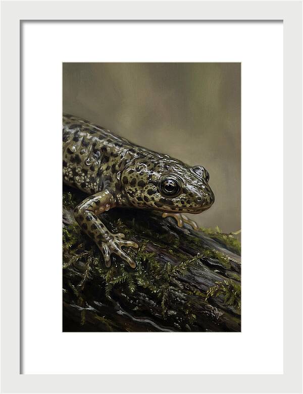Newt Among Mossy Logs