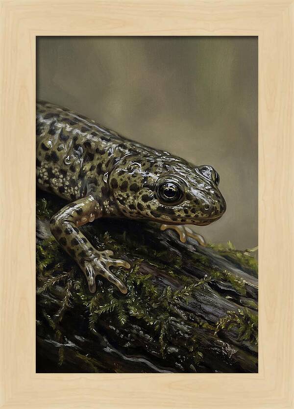 Newt Among Mossy Logs