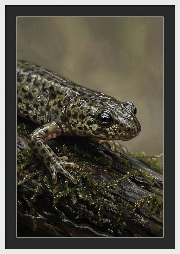 Newt Among Mossy Logs