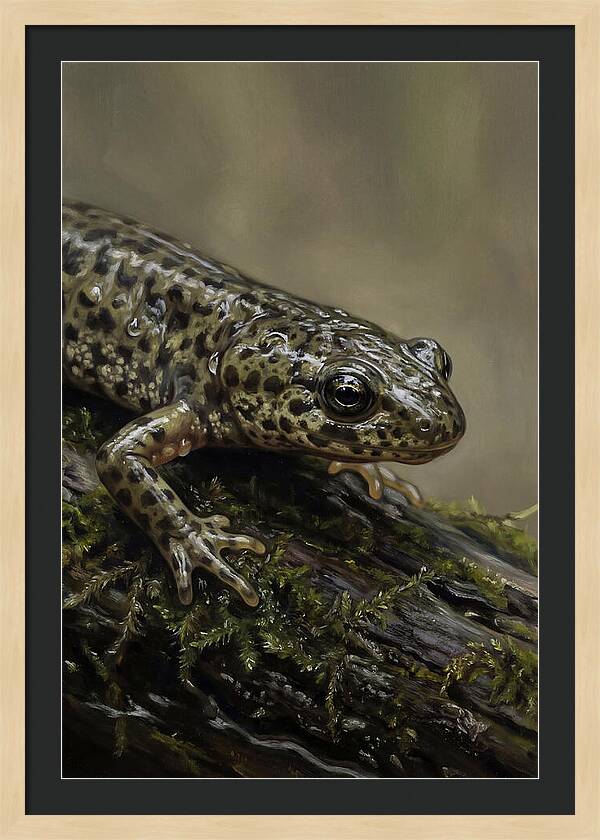 Newt Among Mossy Logs