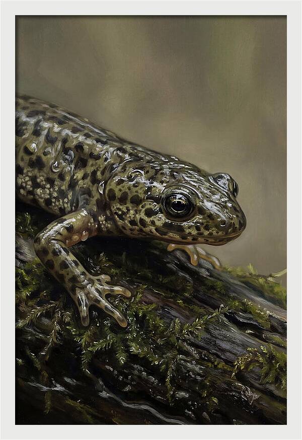 Newt Among Mossy Logs
