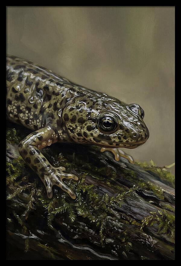 Newt Among Mossy Logs
