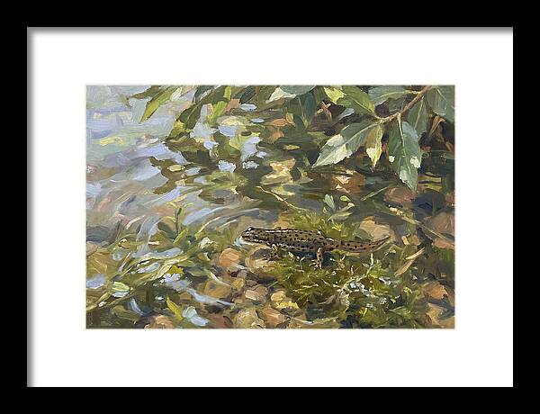 Newt Among Water Lilies