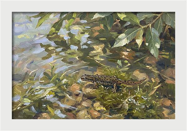 Newt Among Water Lilies