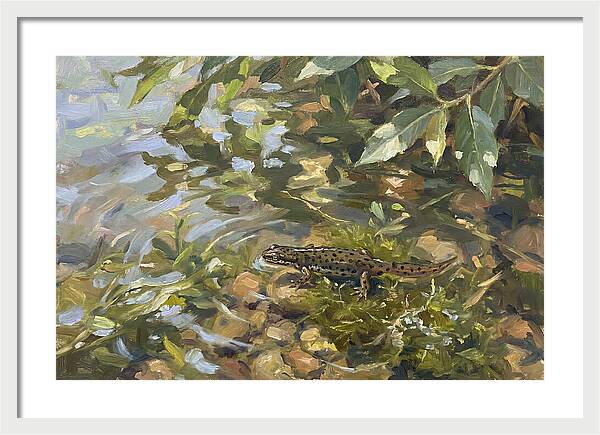 Newt Among Water Lilies