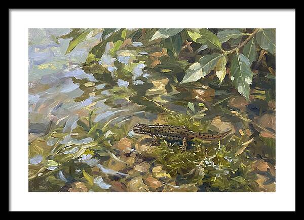 Newt Among Water Lilies