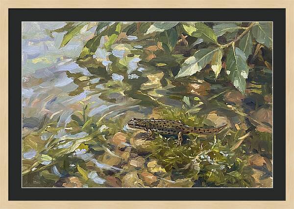 Newt Among Water Lilies