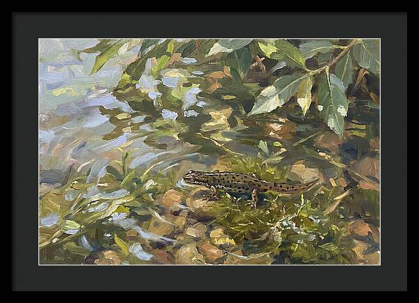 Newt Among Water Lilies