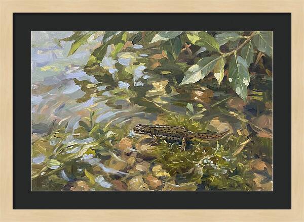 Newt Among Water Lilies