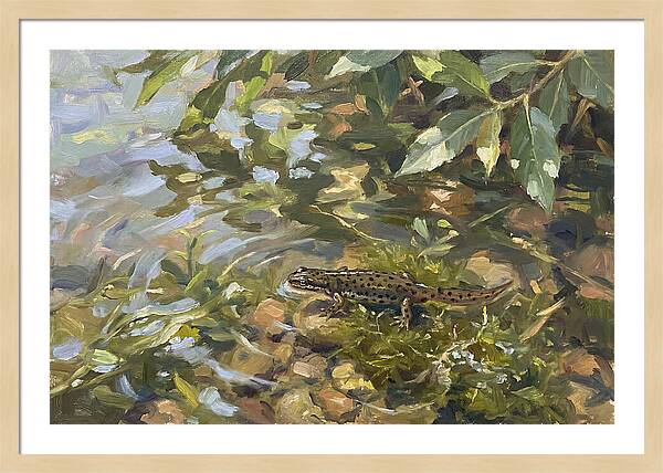 Newt Among Water Lilies