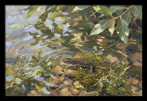 Newt Among Water Lilies