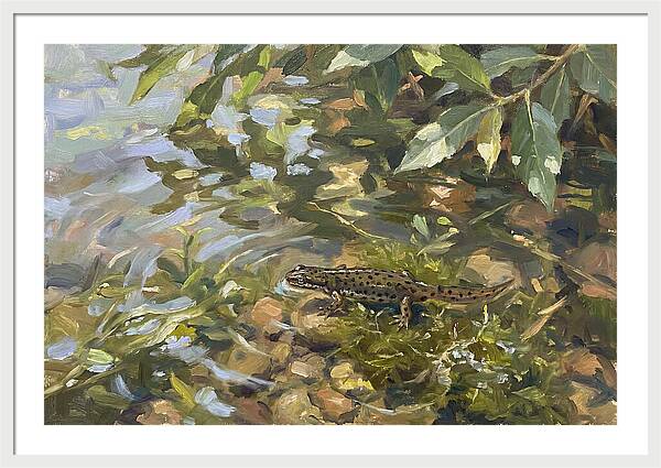 Newt Among Water Lilies