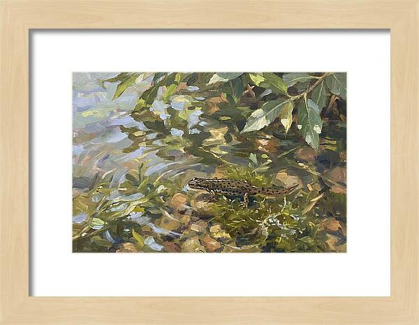 Newt Among Water Lilies