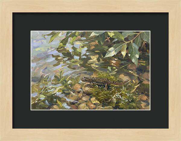 Newt Among Water Lilies