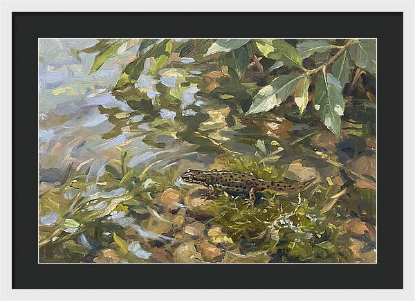 Newt Among Water Lilies