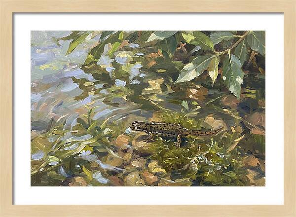 Newt Among Water Lilies