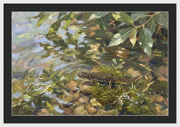 Newt Among Water Lilies