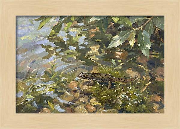 Newt Among Water Lilies