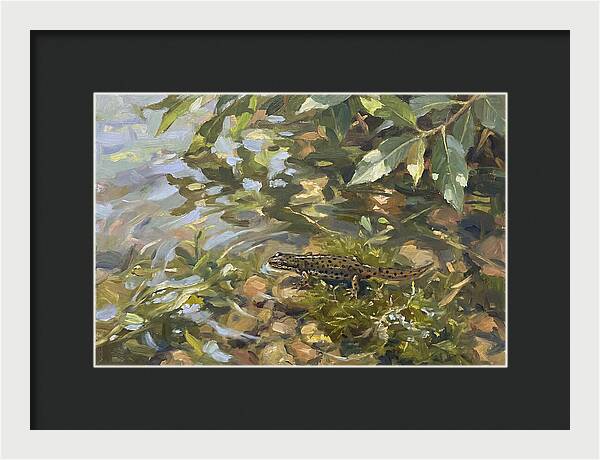 Newt Among Water Lilies