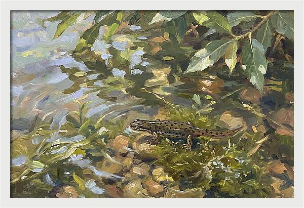 Newt Among Water Lilies