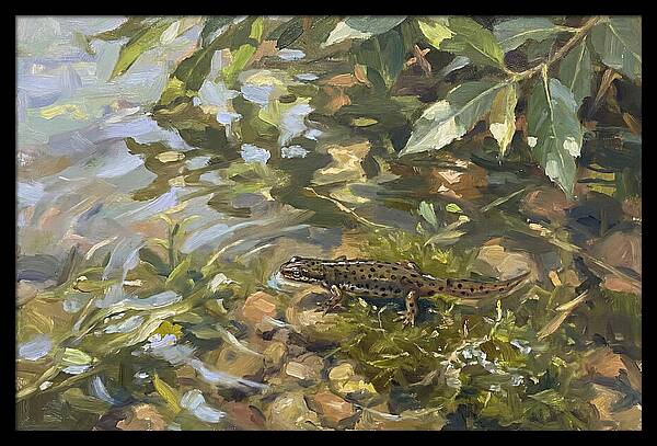 Newt Among Water Lilies
