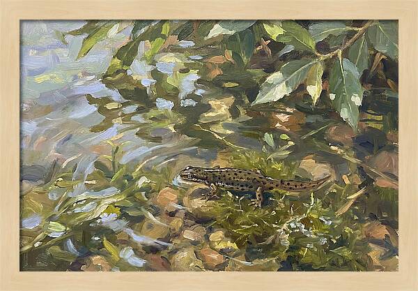 Newt Among Water Lilies