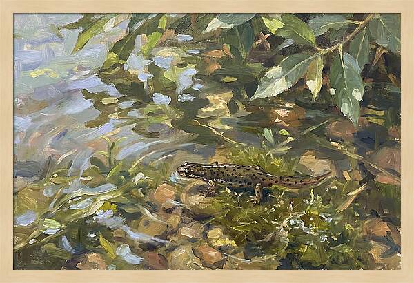 Newt Among Water Lilies