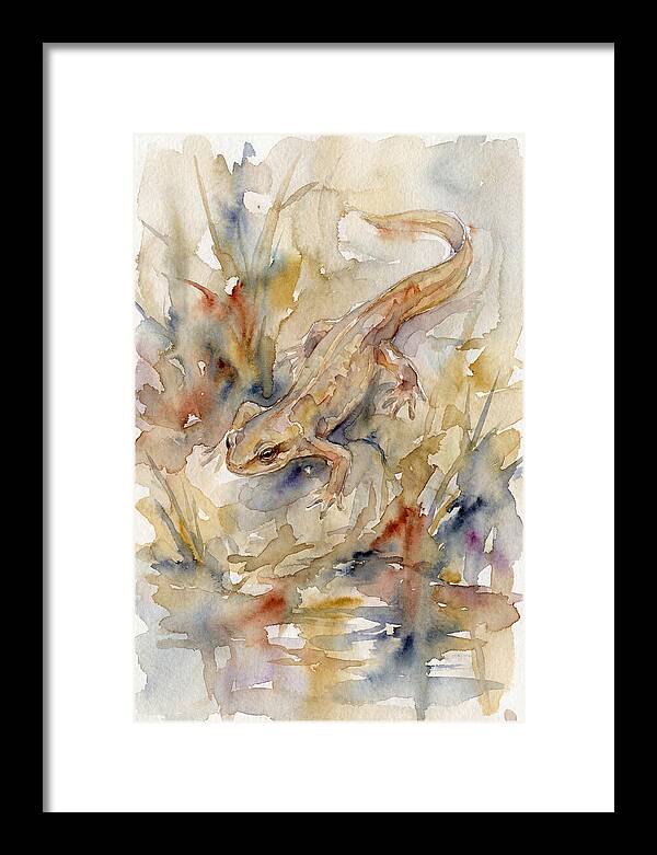 Newt Among Watercolors