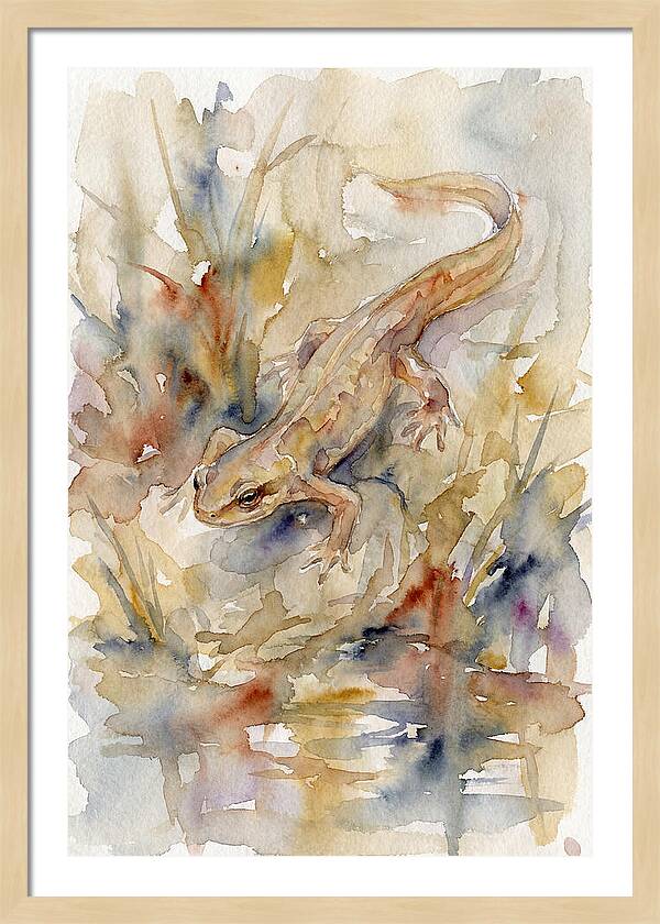 Newt Among Watercolors