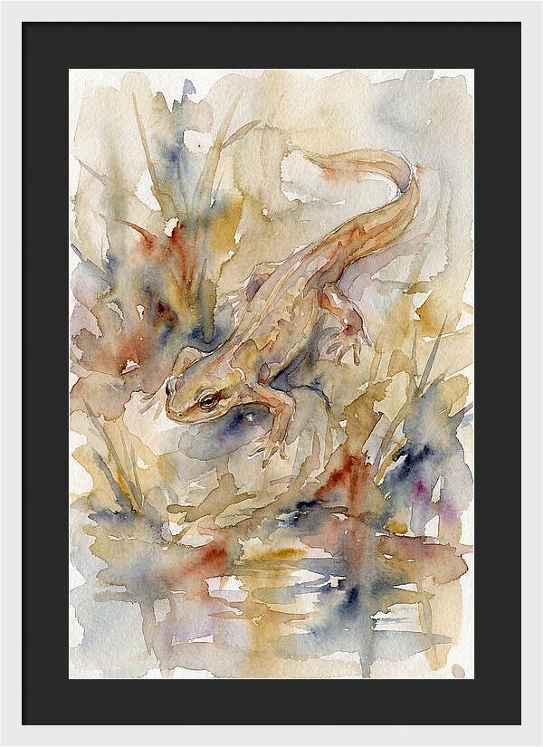 Newt Among Watercolors