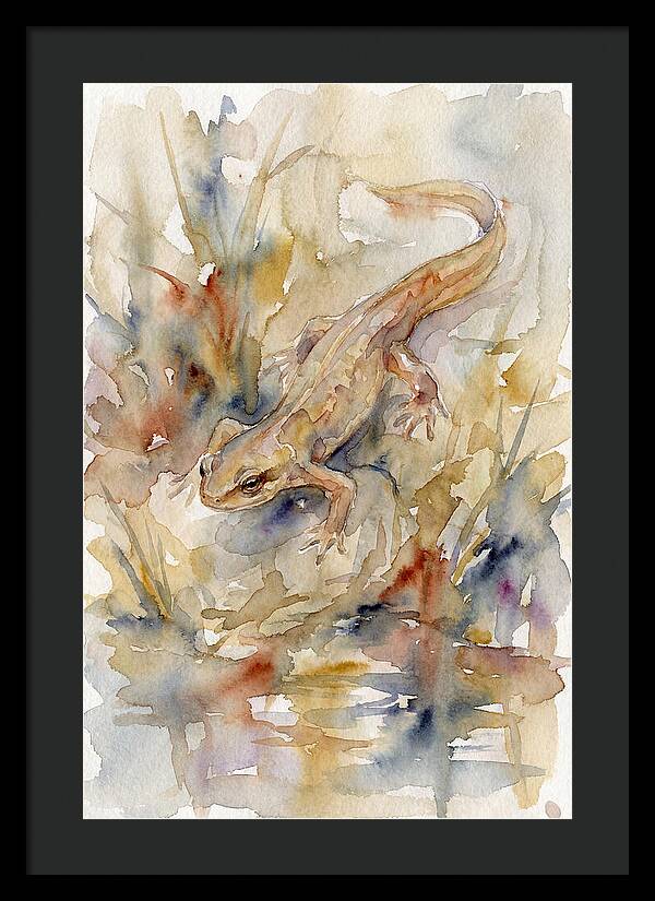 Newt Among Watercolors