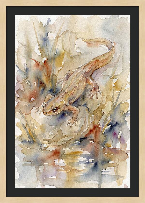 Newt Among Watercolors