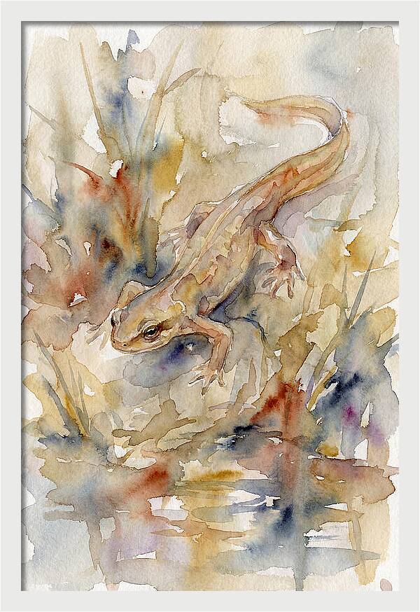 Newt Among Watercolors