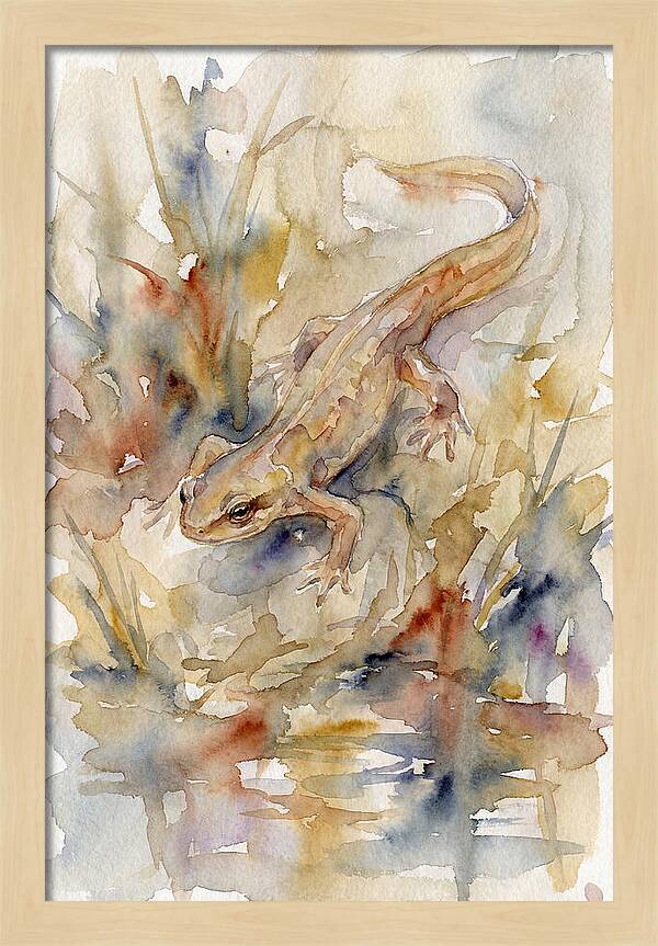 Newt Among Watercolors