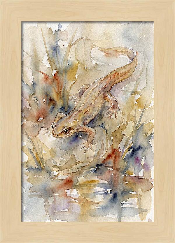 Newt Among Watercolors