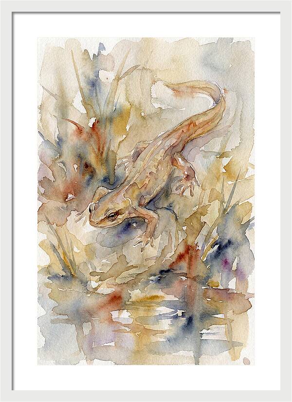 Newt Among Watercolors