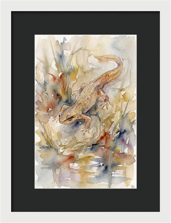 Newt Among Watercolors