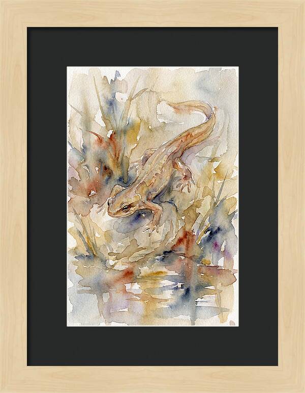 Newt Among Watercolors