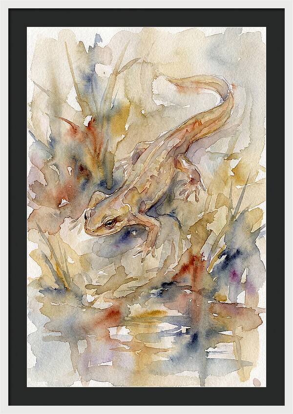 Newt Among Watercolors