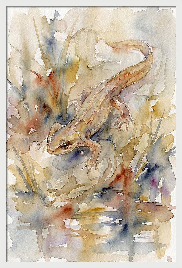 Newt Among Watercolors