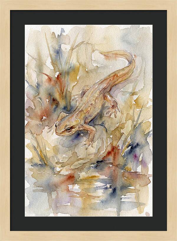 Newt Among Watercolors