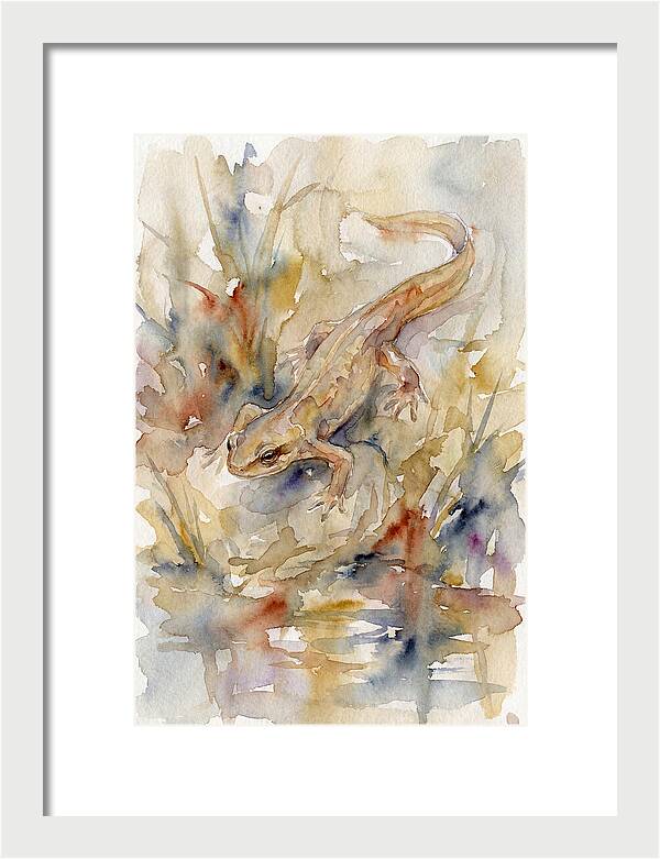 Newt Among Watercolors