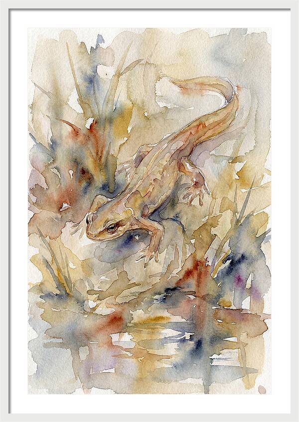 Newt Among Watercolors