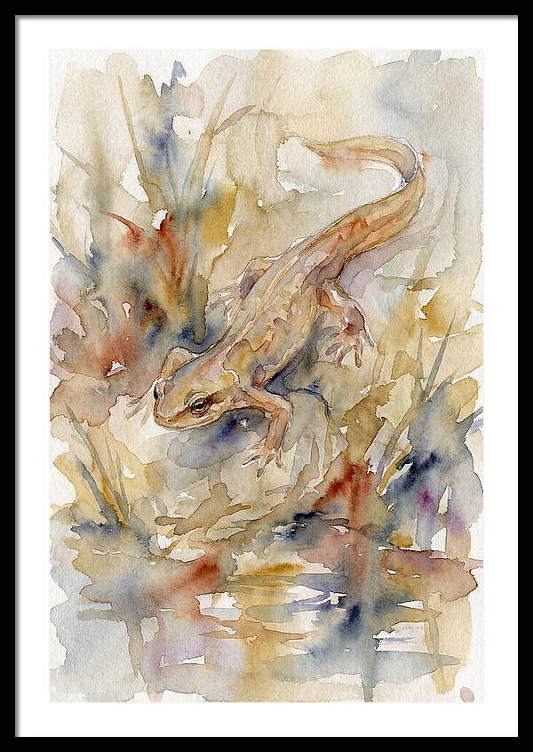 Newt Among Watercolors