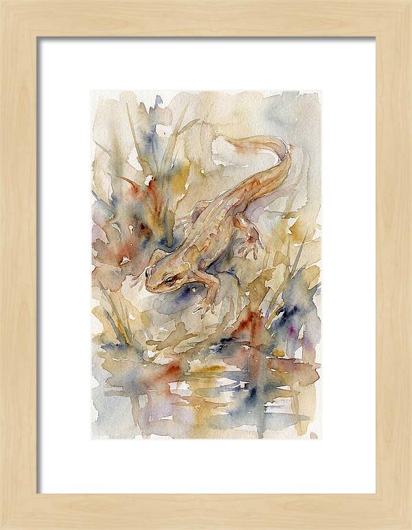 Newt Among Watercolors