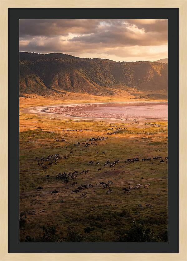 Ngorongoro Crater At Golden Hour